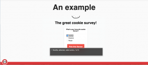 Slide with example of a survey on
